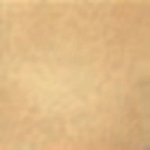 VEGA OCRE