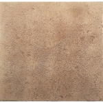 VEGA CAMEL