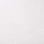 S/SALT B6006
