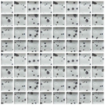 CL-MOS BG702-W SPARCLE WHITE