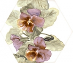 MOD TOSCANA ACUARELAS 038