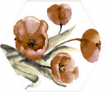 MOD TOSCANA ACUARELAS 040