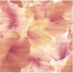 FLOWER POWER INSERTO декор2