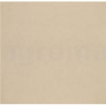 BEIGE напIвглянець
