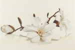 FLORA MAGNOLIA декор