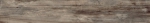 J85804 SOFT ASH