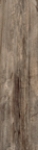 J86151 LVNG CENERE