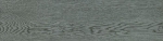 INSIGNIS GRIS
