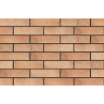 ELEWACJA LOFT BRICK CURRY