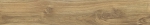 BERGEN BEIGE