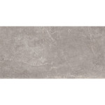 CONCEPT GREY RECTIFICADO 60X120 