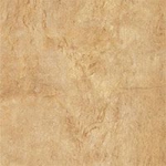 ORION OCRE